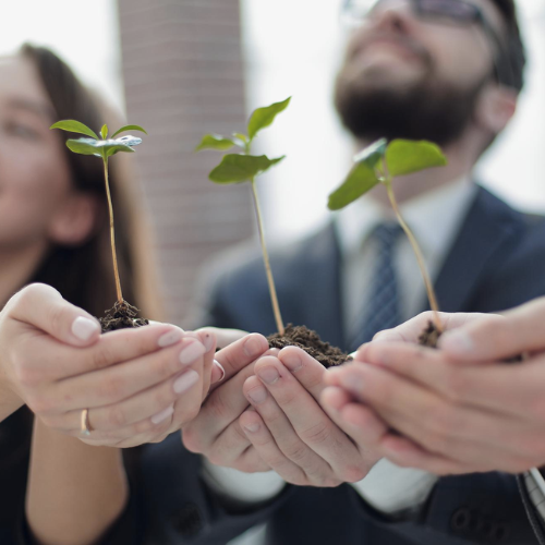 ISO 14001_Abscert Certificación